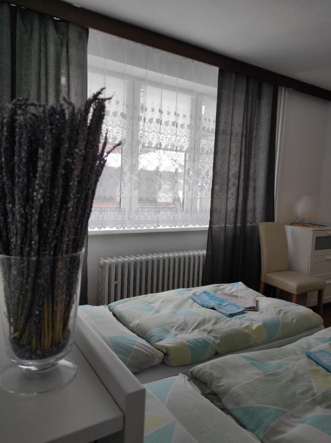 Hotel Tatrania Stará Lesná 外观 照片